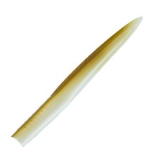 Leurre Souple Sakura Majikeel 165mm-007