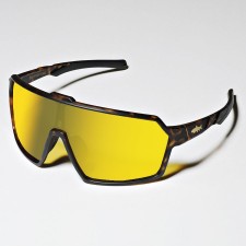 Lunettes Big Fish Virtual Trout-_iri_gold
