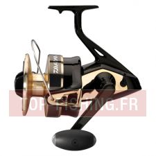 moulinet-daiwa-gold-silver-100b.jpg