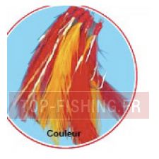plumes-filaments-couleur.jpg