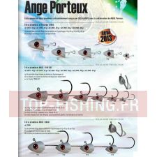 tetes-plombes-ange-porteux.jpg