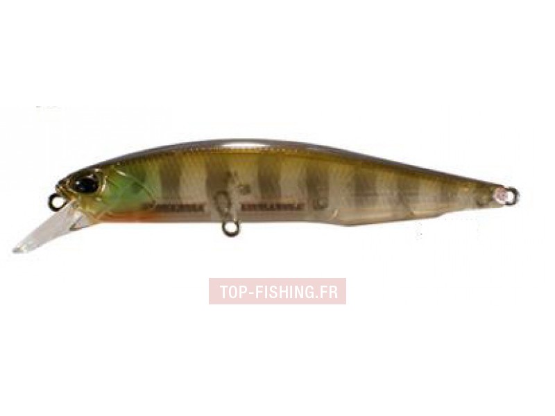 -leurre-realis-jerkbait-100-sp-ccc3158.jpg -leurre-realis-jerkbait-100-sp-ccc3158.jpg