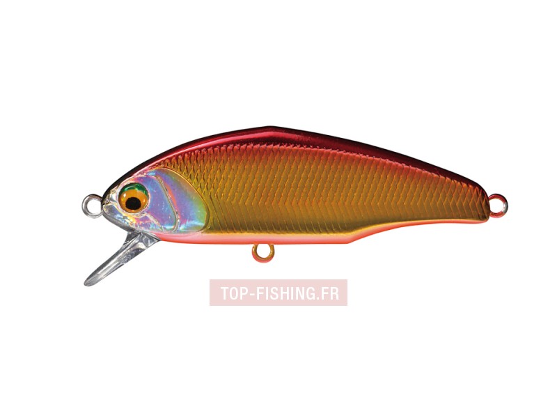 -leurre-smith-d-incite-4-gr-couleur-02.jpg -leurre-smith-d-incite-4-gr-couleur-02.jpg
