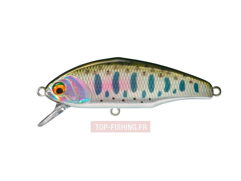 -leurre-smith-d-incite-4-gr-couleur-04.jpg -leurre-smith-d-incite-4-gr-couleur-04.jpg