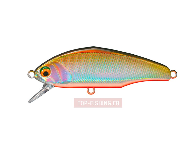 -leurre-smith-d-incite-4-gr-couleur-07.jpg -leurre-smith-d-incite-4-gr-couleur-07.jpg
