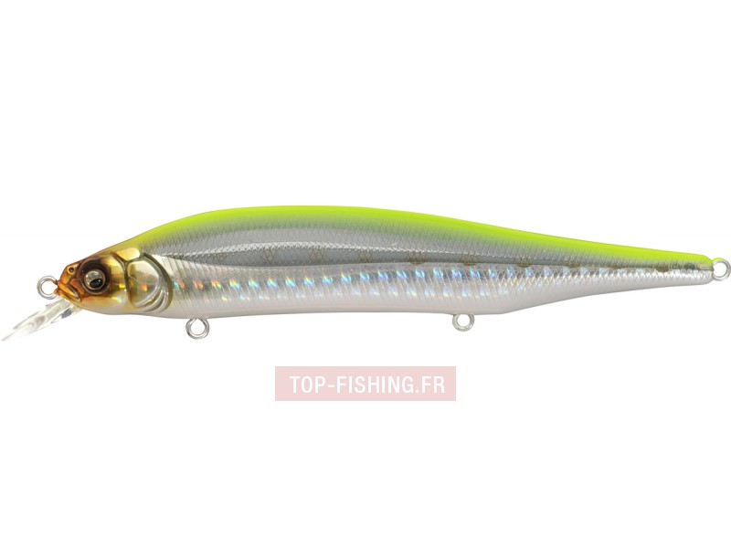 -leurre-x80-magnum-couleurs-10-ht-chart-back-iwashi.jpg