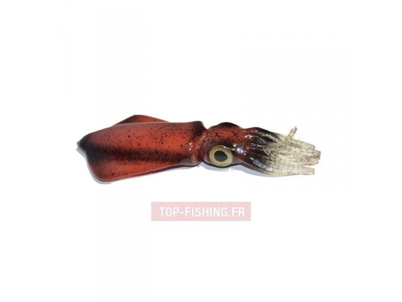 -top-sea-realis-squid-lure-natural.jpg