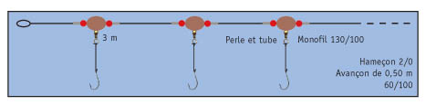 DESSINPLFL.jpg DESSINPLFL.jpg