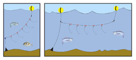 DESSINPLVERT.jpg