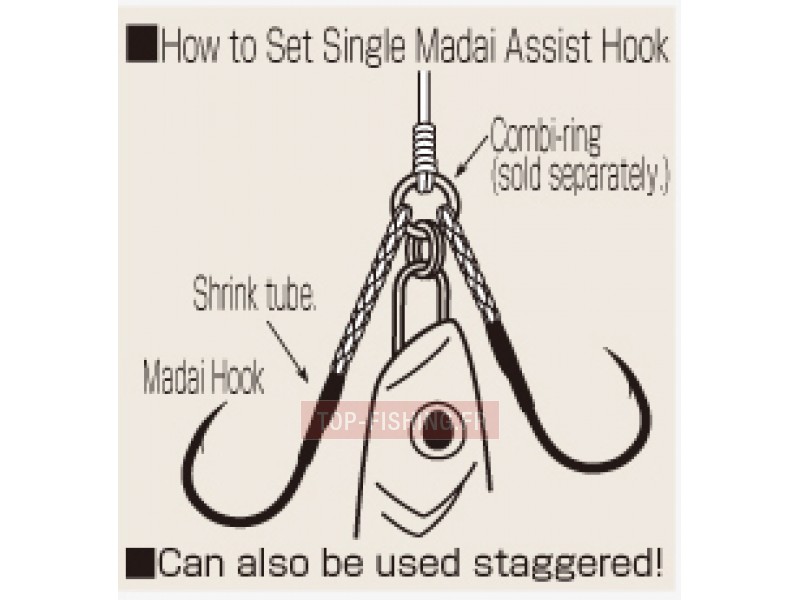 assist-hook-shout-madai-2.jpg