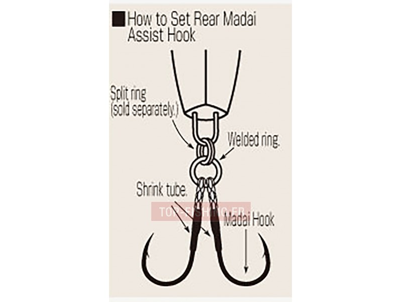 assist-hook-shout-madai-rear-3.jpg
