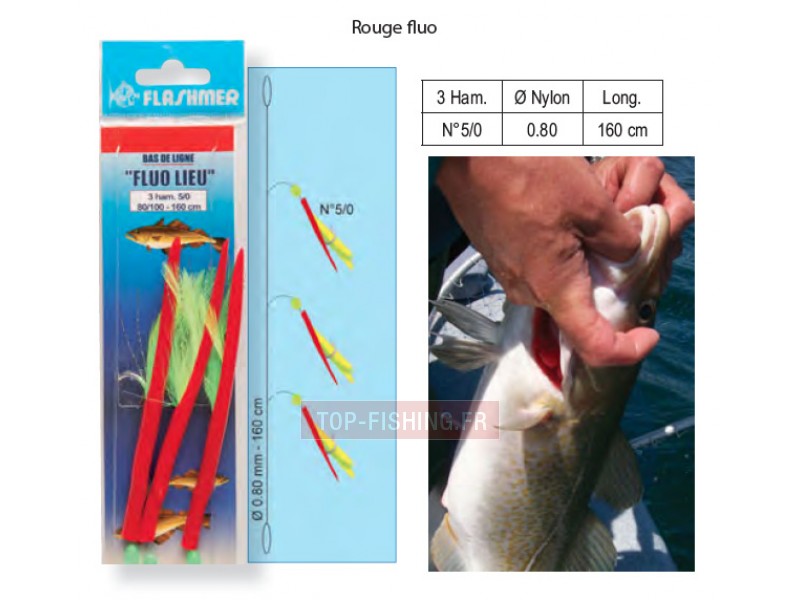bas-de-ligne-flashmer-fluo-lieu-3-hame-ons.jpg bas-de-ligne-flashmer-fluo-lieu-3-hame-ons.jpg