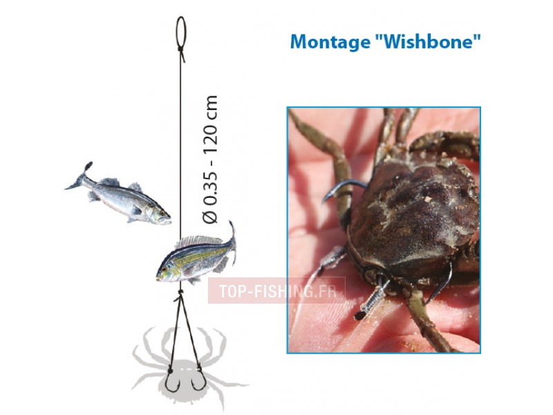 bas-de-ligne-flashmer-montage-a-crabe-2.jpg bas-de-ligne-flashmer-montage-a-crabe-2.jpg