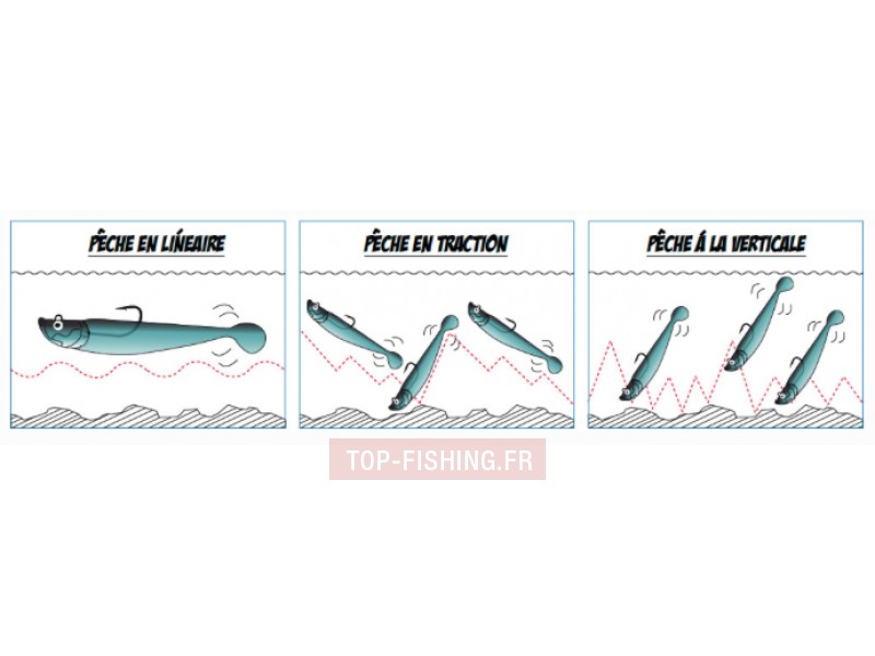 blue-shad-flashmer3.jpg blue-shad-flashmer3.jpg