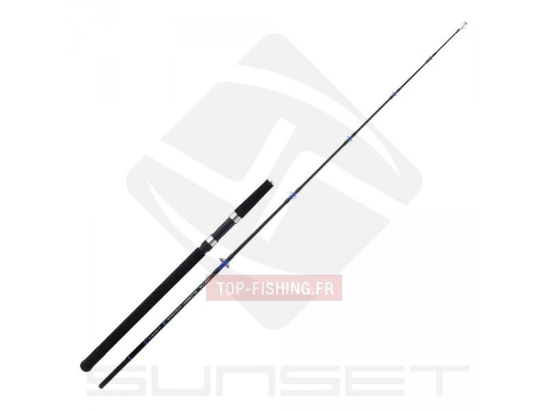 canne-baroudeur-jigging-180-2-20-30-lbs.jpg