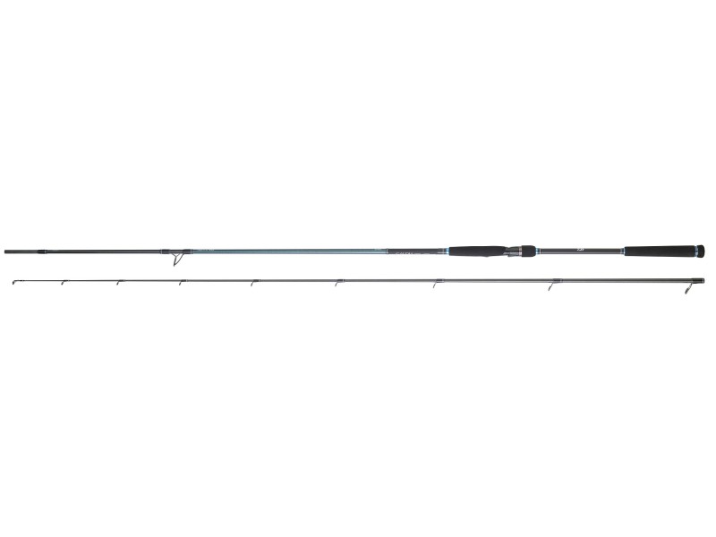 Canne Daiwa Caldia Seabass-CASB1002HXHFSDF Canne Daiwa Caldia Seabass-CASB1002HXHFSDF