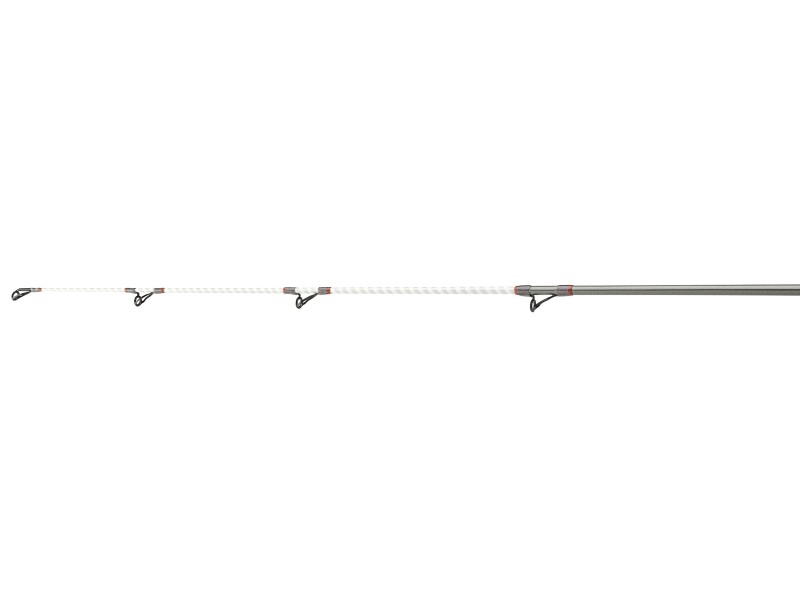 Canne Daiwa Crosscast Surf