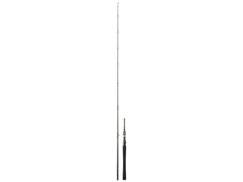 canne-daiwa-exceler-casting-10-ex602xxhfbosdf.jpg canne-daiwa-exceler-casting-10-ex602xxhfbosdf.jpg