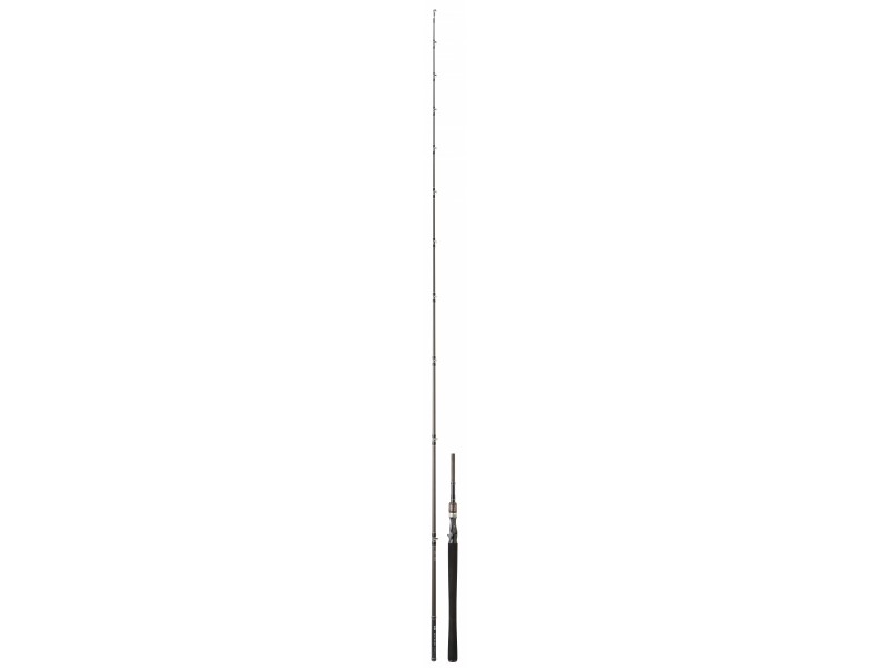 canne-daiwa-exceler-casting-11-ex762xxhfbosdf.jpg canne-daiwa-exceler-casting-11-ex762xxhfbosdf.jpg
