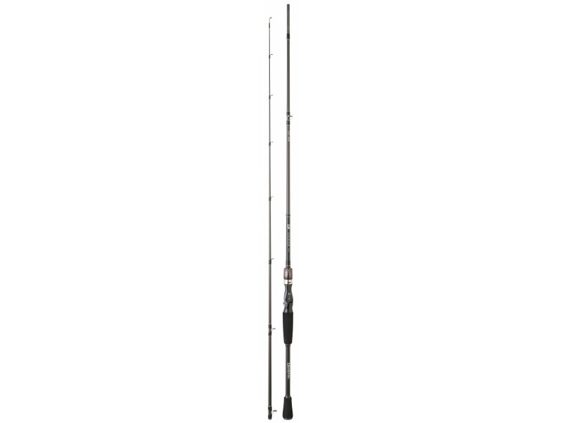 canne-daiwa-exceler-casting-7-ex682hfbdf.jpg canne-daiwa-exceler-casting-7-ex682hfbdf.jpg