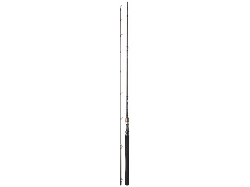 canne-daiwa-exceler-casting-9-ex742xhfbdf.jpg canne-daiwa-exceler-casting-9-ex742xhfbdf.jpg