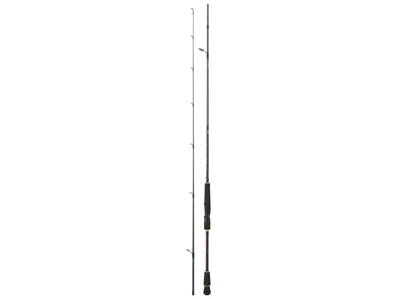 canne-daiwa-infeet-seabass-5-infsb702mhfscf.jpg canne-daiwa-infeet-seabass-5-infsb702mhfscf.jpg