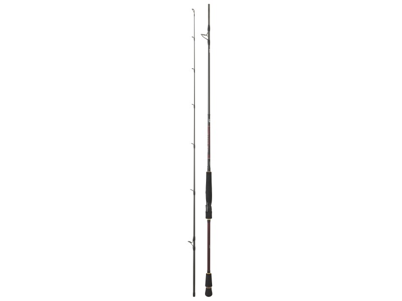 canne-daiwa-infeet-seabass-7-infsb702hfscf.jpg canne-daiwa-infeet-seabass-7-infsb702hfscf.jpg