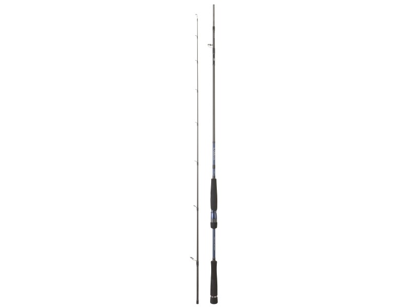 canne-daiwa-labrax-seabass-2-labsb702hfsaf.jpg canne-daiwa-labrax-seabass-2-labsb702hfsaf.jpg