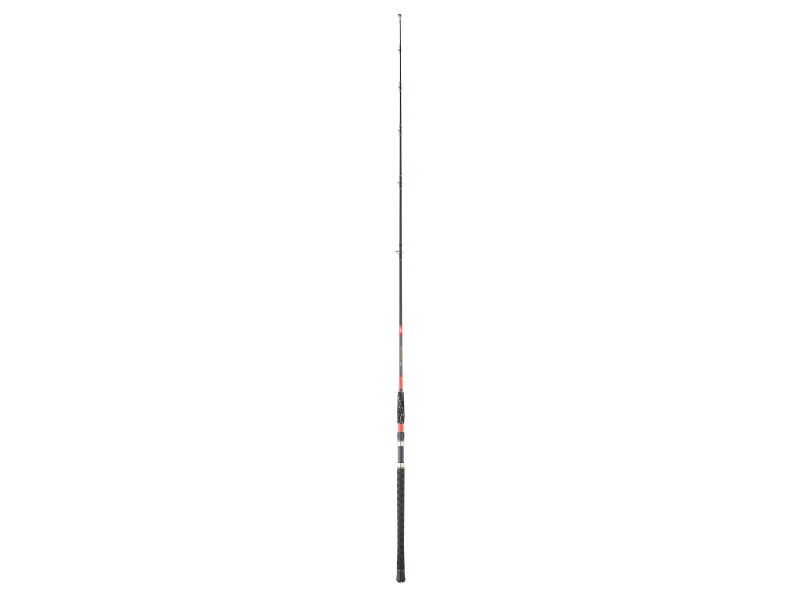 canne-daiwa-megaforce-big-fish-3.jpg canne-daiwa-megaforce-big-fish-3.jpg