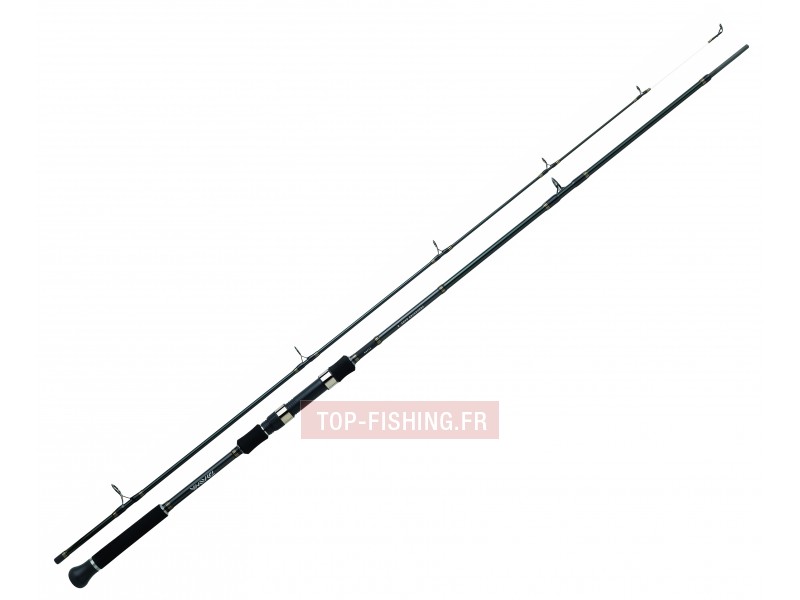 canne-daiwa-procaster-game-ii-2.jpg