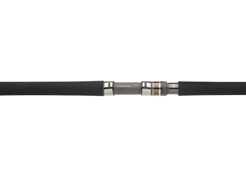 Canne Daiwa Saltiga Jigging Canne Daiwa Saltiga Jigging