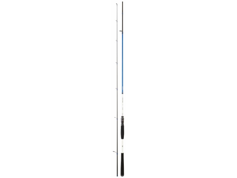 canne-daiwa-spitfire-seabass-3.jpg