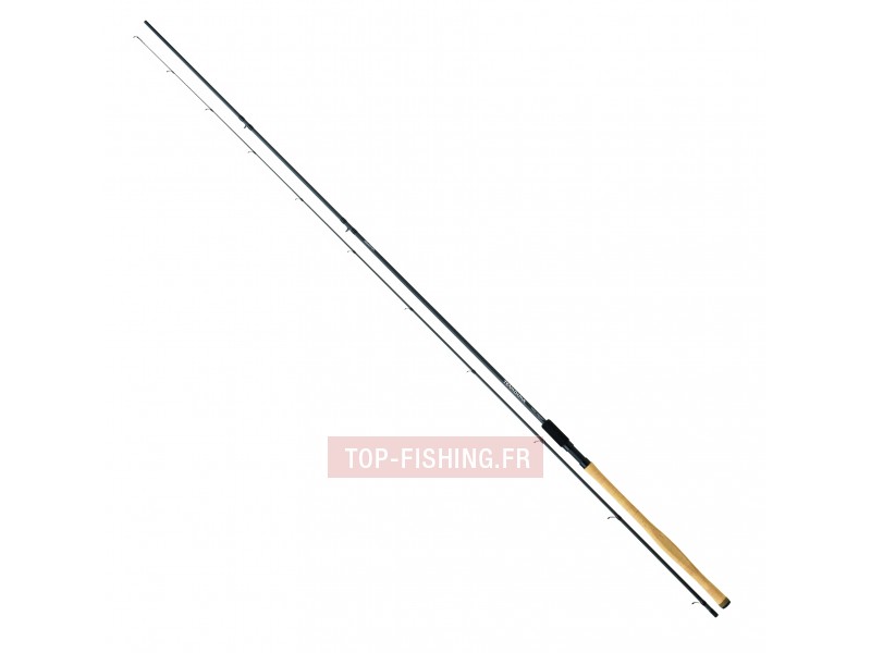 canne-daiwa-team-daiwa-match-2.jpg