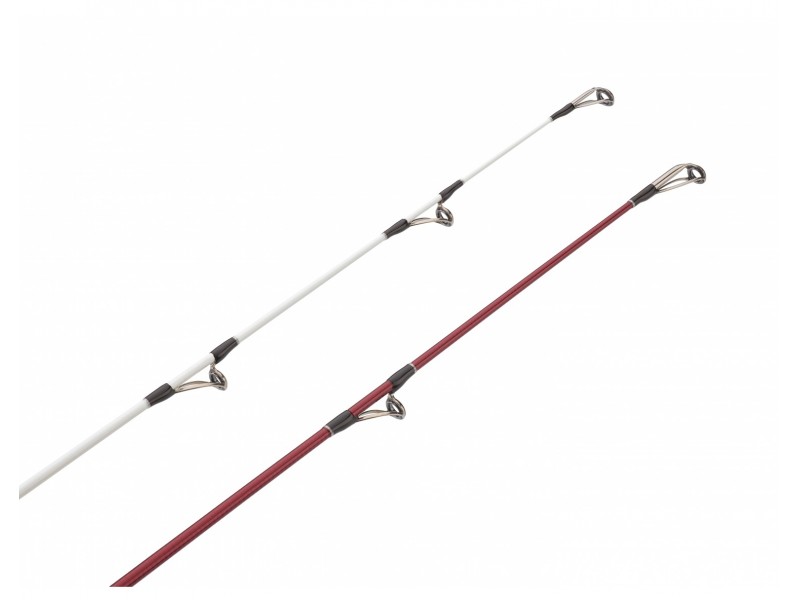 canne-daiwa-tournament-caster-evo-9.jpg canne-daiwa-tournament-caster-evo-9.jpg