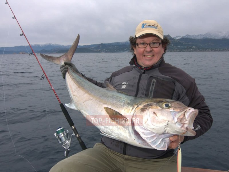 canne-italcanna-jig-killer-3.jpg canne-italcanna-jig-killer-3.jpg