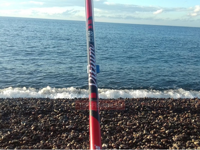 canne-italcanna-vitium-2.jpg