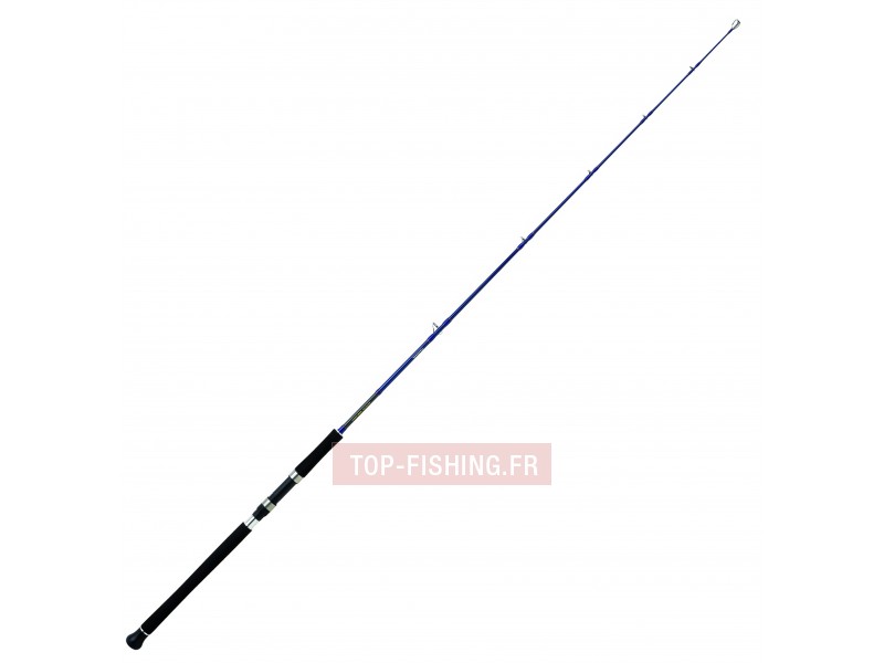 canne-jigging-daiwa-exceller-oceano-3.jpg canne-jigging-daiwa-exceller-oceano-3.jpg