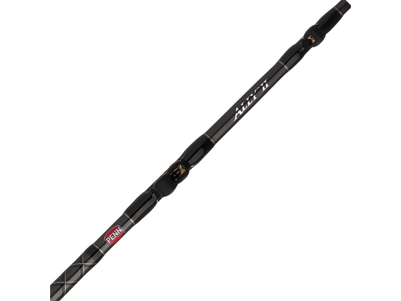 Canne Penn Ally Boat Conventional Canne Penn Ally Boat Conventional