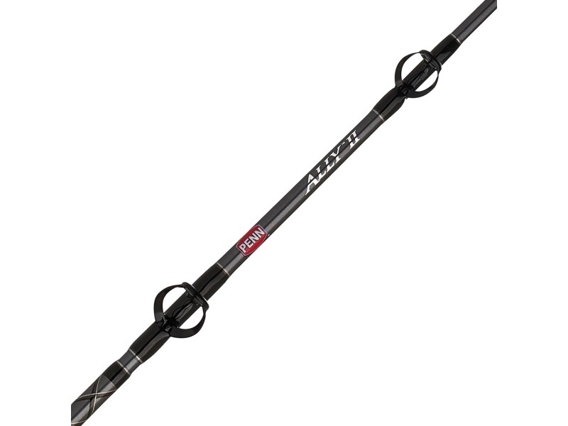 Canne Penn Ally Boat Conventional Canne Penn Ally Boat Conventional