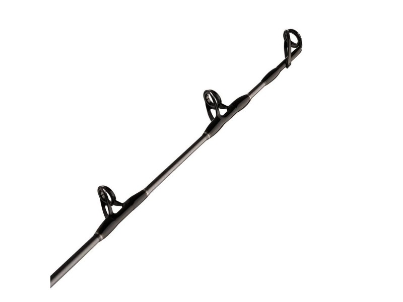Canne Penn Ally Boat Conventional Canne Penn Ally Boat Conventional