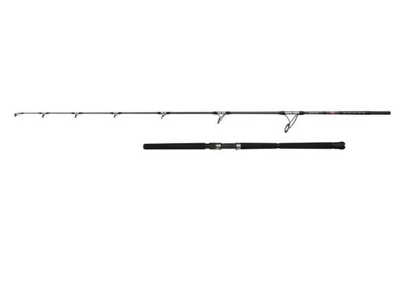 Canne Penn Ally II Offshore Casting Rod-1636255