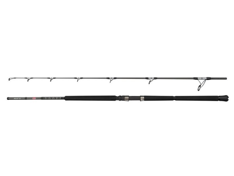 Canne Penn Ally II Offshore Casting Rod-1636256 Canne Penn Ally II Offshore Casting Rod-1636256