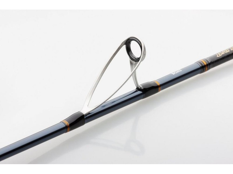 canne-penn-battalion-solid-bait-boat-rod-3.jpg canne-penn-battalion-solid-bait-boat-rod-3.jpg