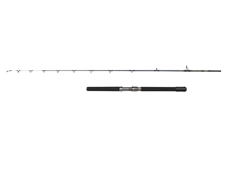 Canne Penn Battalion Solid Electric Straight Butt