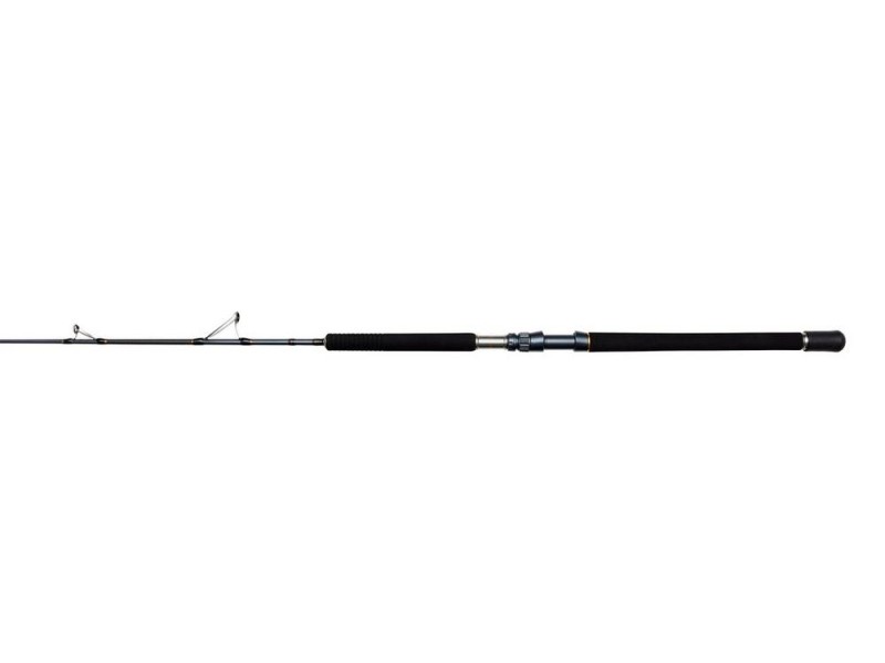 canne-penn-battalion-solid-tuna-broume-spinning-rod-4.jpg canne-penn-battalion-solid-tuna-broume-spinning-rod-4.jpg