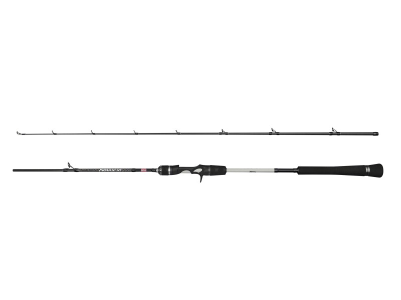 Canne Penn Prevail III Jigging Cast