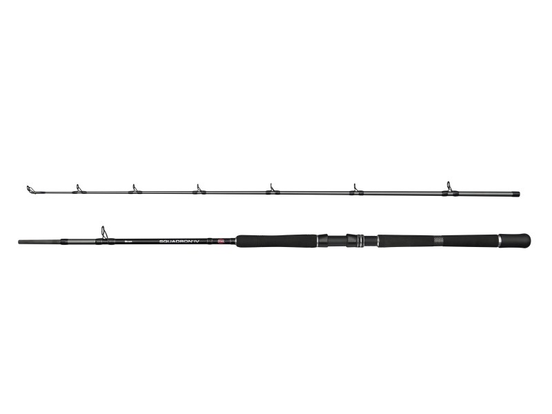 Canne Penn Squadron IV Boat Cast