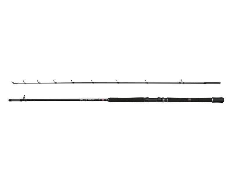 Canne Penn Squadron  IV Halibut Cast