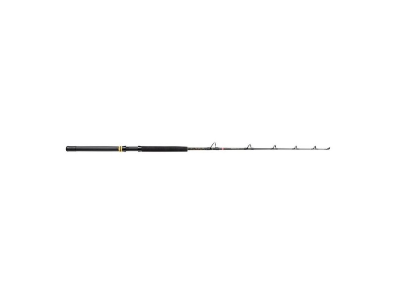 canne-penn-squall-ii-trolling-rod-2-155890.jpg canne-penn-squall-ii-trolling-rod-2-155890.jpg