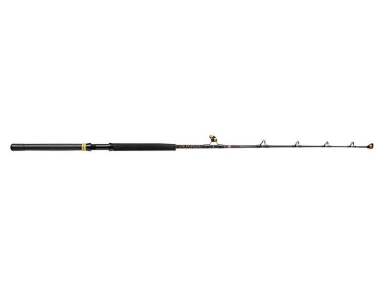 canne-penn-squall-ii-trolling-rod-3-1558909.jpg canne-penn-squall-ii-trolling-rod-3-1558909.jpg